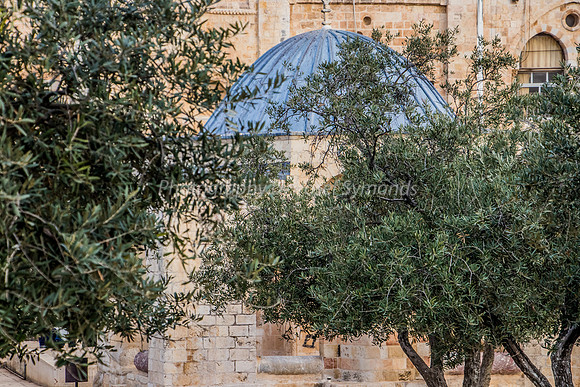 Suleiman Dome 181216