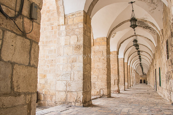 Western Cloisters 181216-1