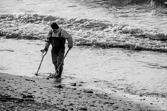 The Beachcomber 220325-16