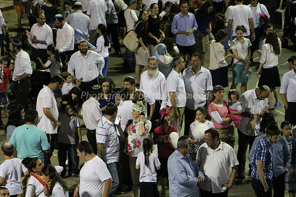 Independence Day Celebration Crowd 7