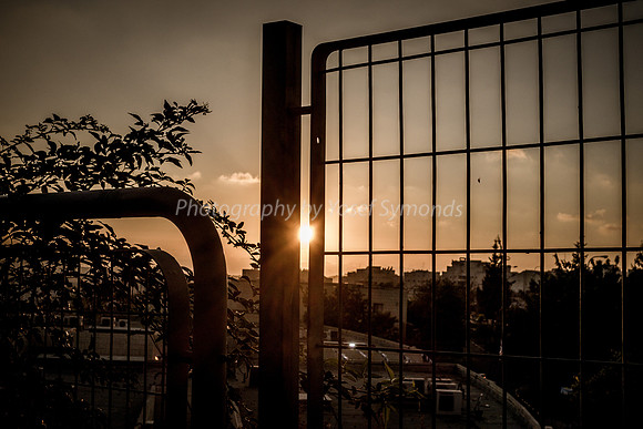 Fence Before Sunset 2