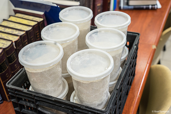 Shmura Flour 190408-2