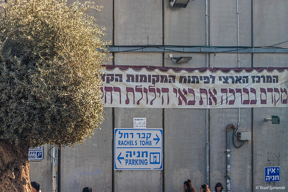 The Olive Tree and Modern Signs 221107-2