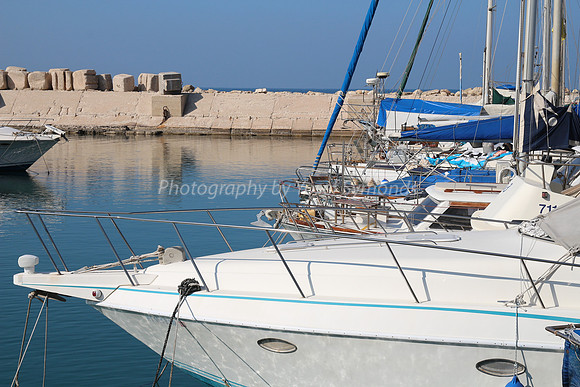 Jaffa Fishing Port