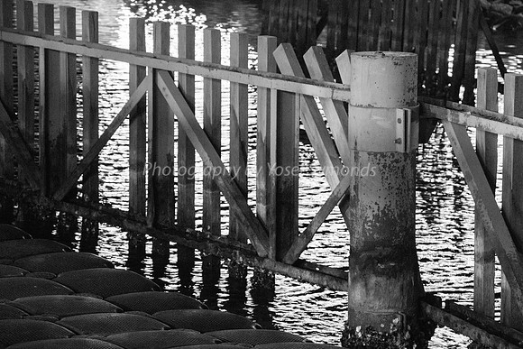 Fence in Lagoon 181008-32