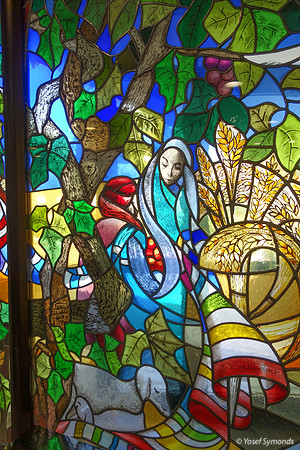 Misgav Ladach Hospital Windows-140425-2