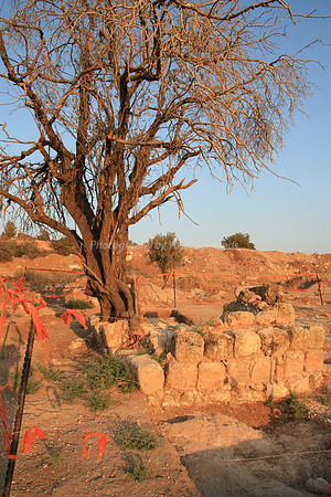 Mem 3 Antiquities Ramat Beit Shemesh  (6)