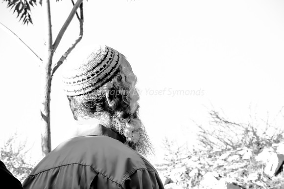 Contemplating 180916-2
