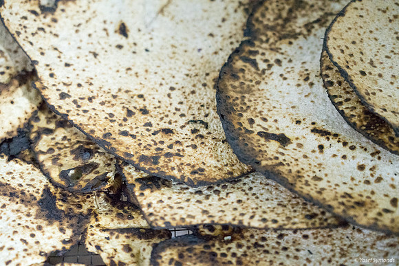 Matza Just Out of Oven 190408-4