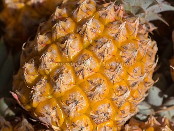Pineapple 4