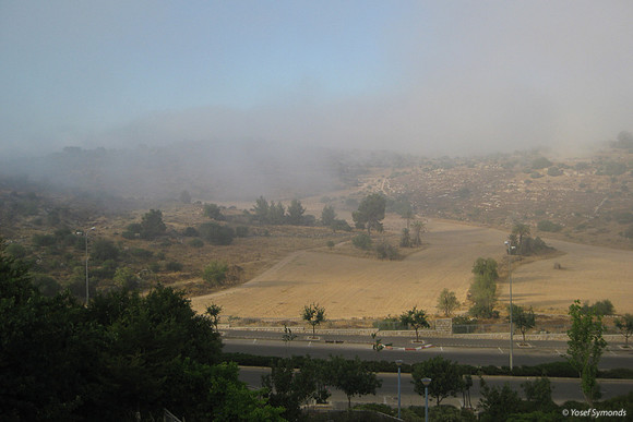 #5 2011 Misty Fields