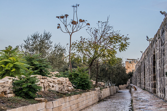 Eastern Walkway 181115-3