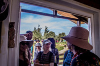Visitors on Grass 3