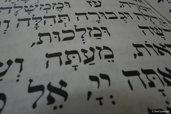 Biblical Text
