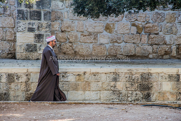 Walking as Owner