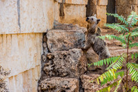 Biblical Bears 180905-4