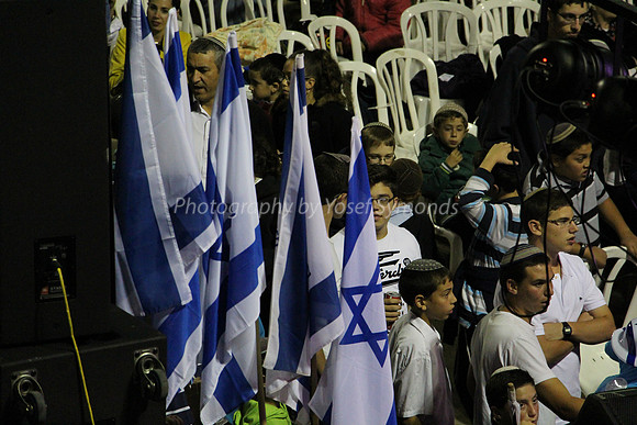 Independence Day Celebration Flags 1