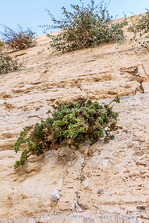 Western Wall Overhead 3