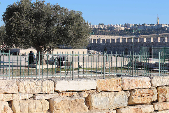 140209-HarHabayit-9802