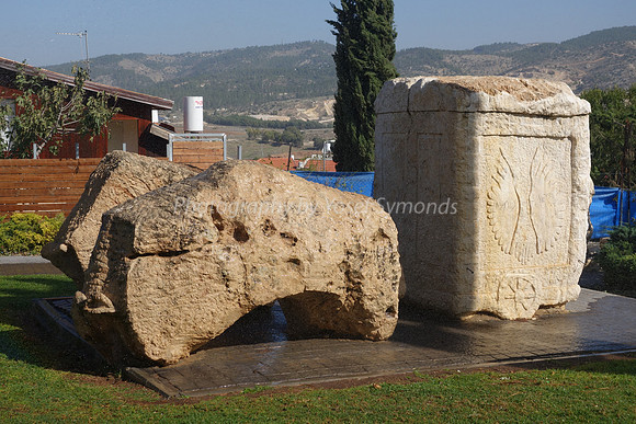 Holy Ark on Wheels Returns to Beit Shemesh