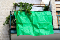 Green with Envy Sukkah 1