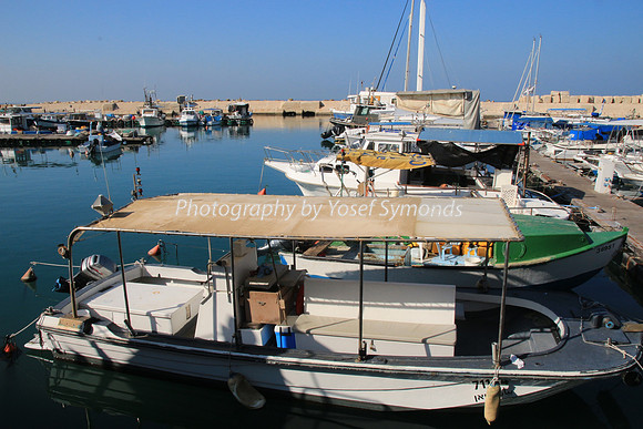Jaffa Fishing Port