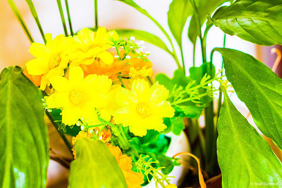 Artful Flowers 190908-2
