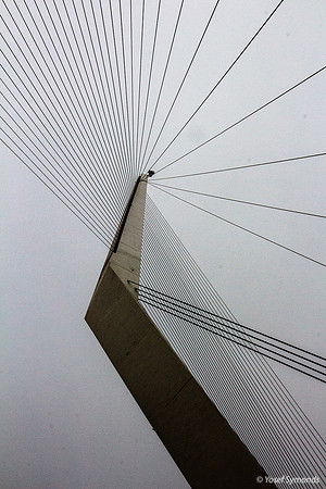 160313-StringBridge-4881