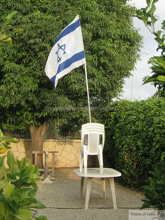 Israel Flag in Garden 2