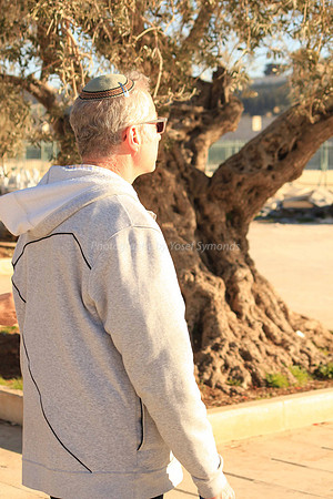 140209-HarHabayit-9789