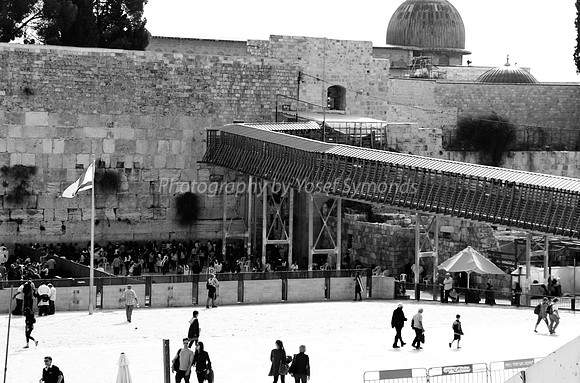 Western Wall קוטל המערבי