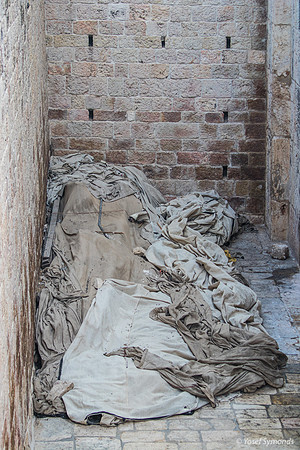 Ancient Timbers in Open Under Tarpaulins 190908-1