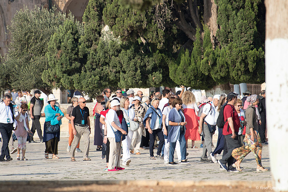 Tourists 190908-2