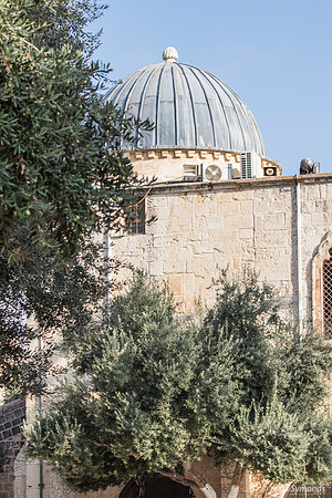 Arab Construction on the Mount 190908-1