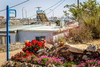 Home and Garden 131204-2