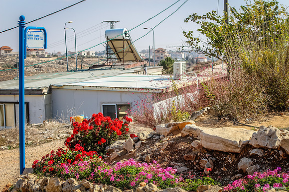 Home and Garden 131204-2