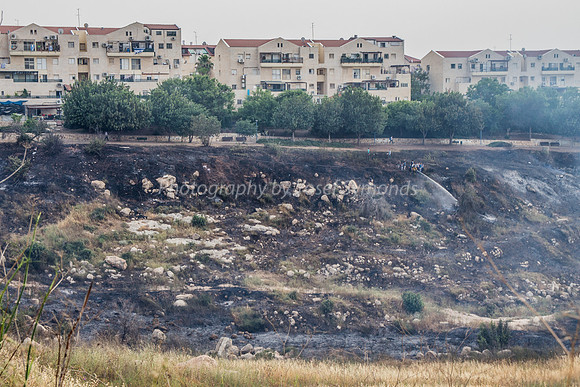 Scorched Valley 1
