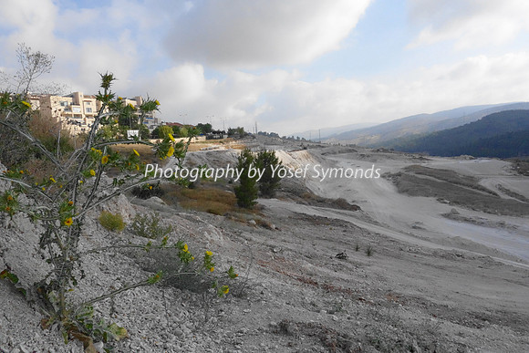 Mishkafayim 2014 Q3 DSC02143 (1)