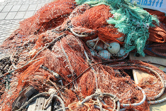 Jaffa Fishing Port
