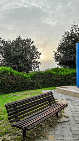 Sun and Park Bench on Maor 170711-1