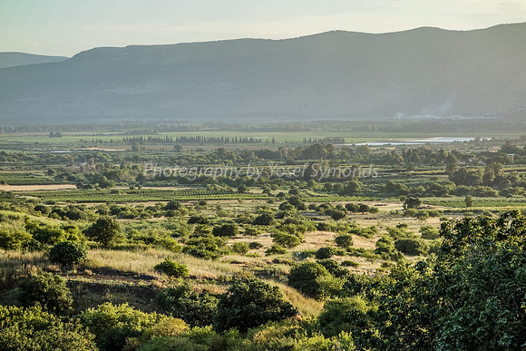 Overlooking Hula Valley 5