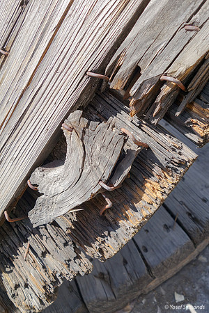 Old Wood - Givat Shaul Jerusalem 2