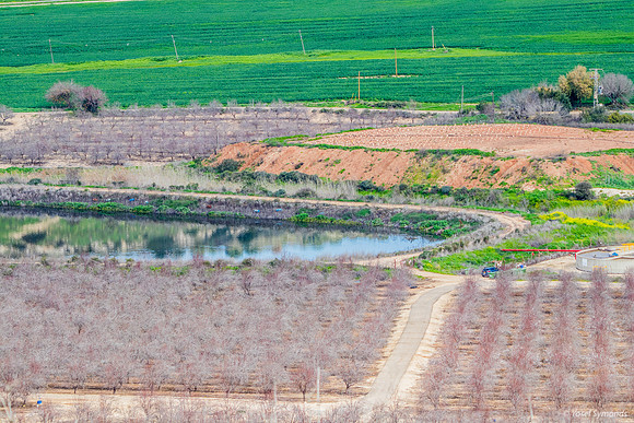 Pond On Kibbutz Netiv Halamed Hey 240213-1