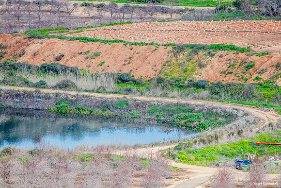 Pond On Kibbutz Netiv Halamed Hey 240213-2