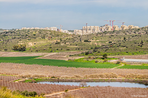 Pond On Kibbutz Netiv Halamed Hey 240213-3