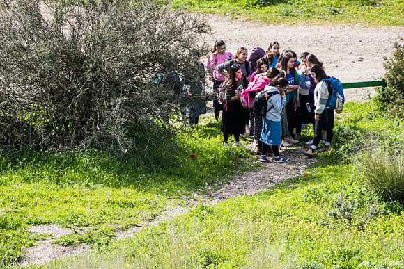 School Girls on Tour 230213-8