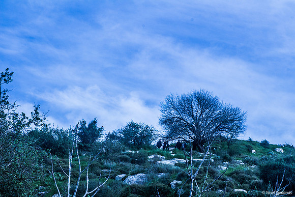 Blue Sky 190226-1