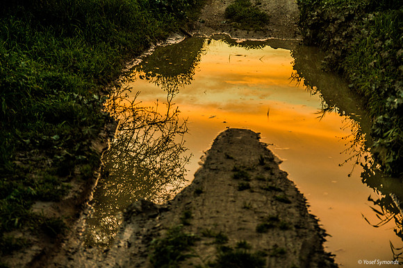 Sunset Reflection 190226-2