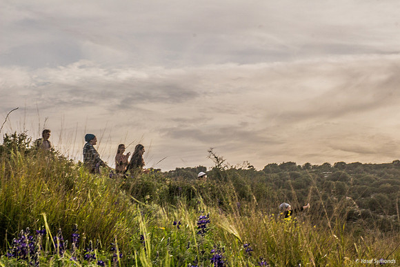 Family in Fields 190226-1