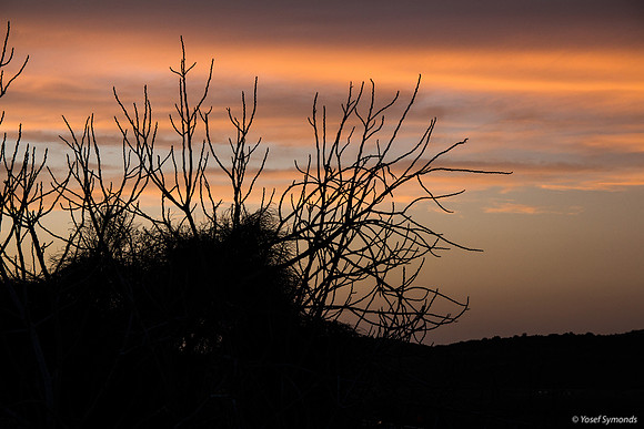 Sunset Through the Hillocks 190226-2